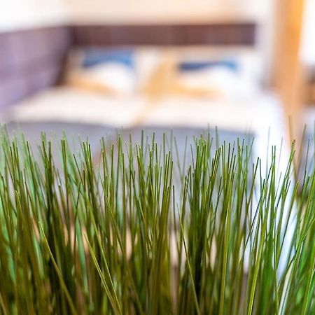 Golden Nugget Inkl Wlan, Parkplatz Daire Detmold Dış mekan fotoğraf