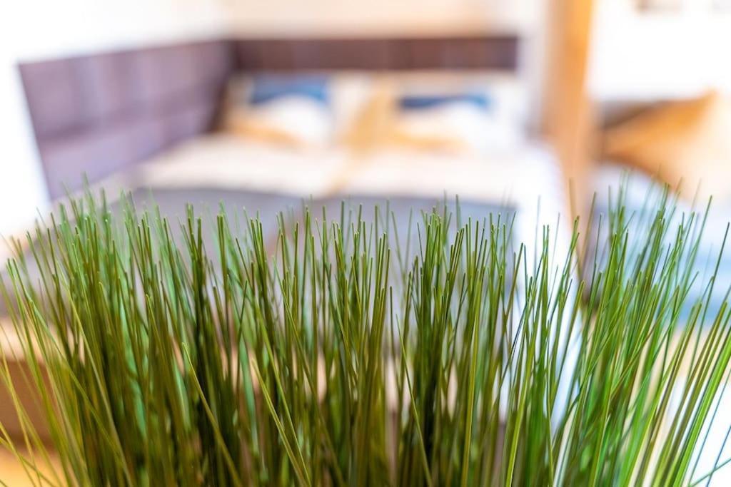 Golden Nugget Inkl Wlan, Parkplatz Daire Detmold Dış mekan fotoğraf